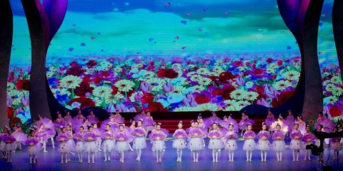 心中的馬蘭花 開啦 昕宇藝術(shù)培訓中心綻放2017全區(qū)六一文藝晚會